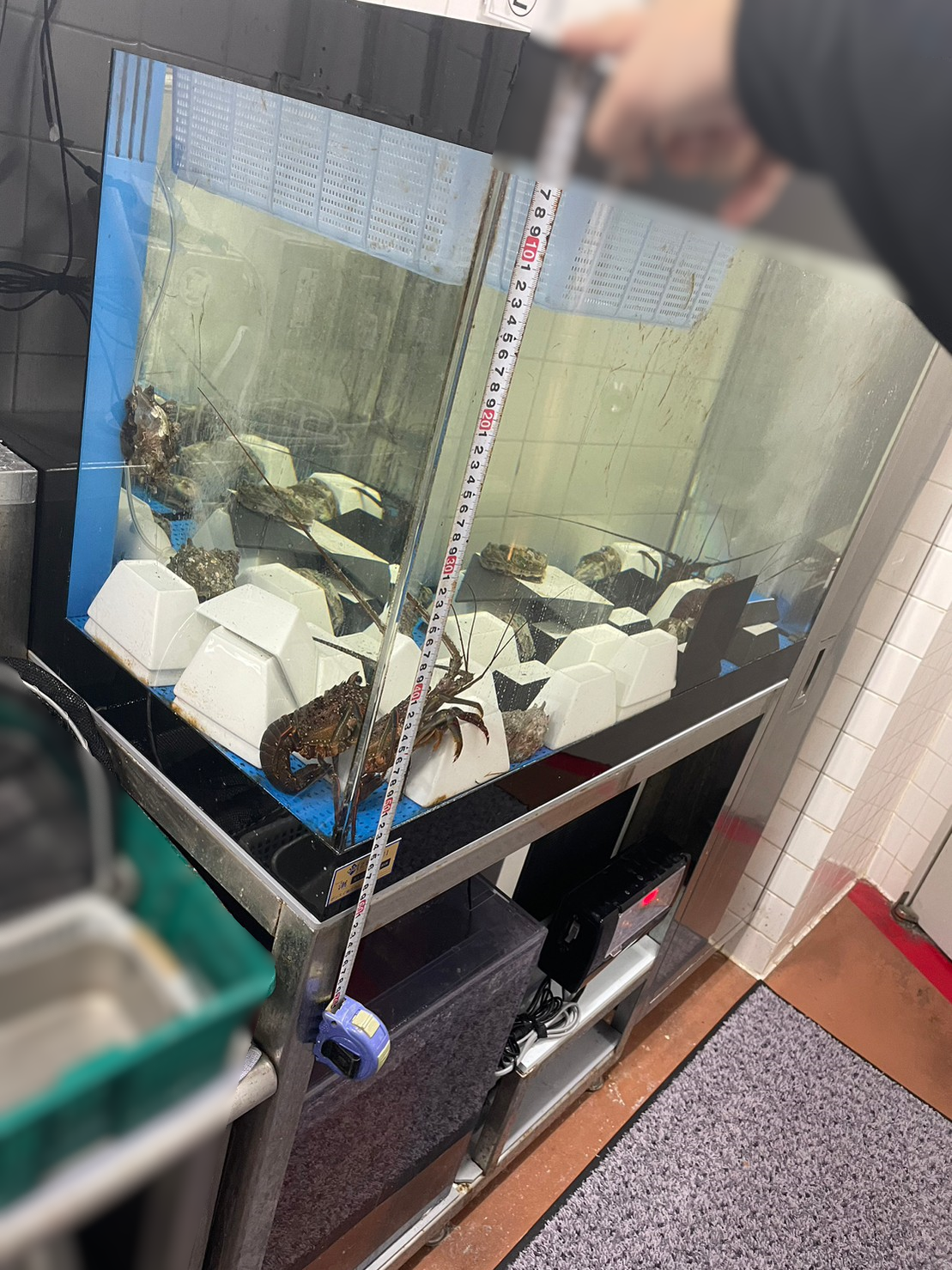 1台のみ　超特注900×135×150㎜　7室水槽 クリアシリコン 未使用品 GLASIA ワイド GL-600W(60×45×45cm)(6mm) クリアシリコン 60cm